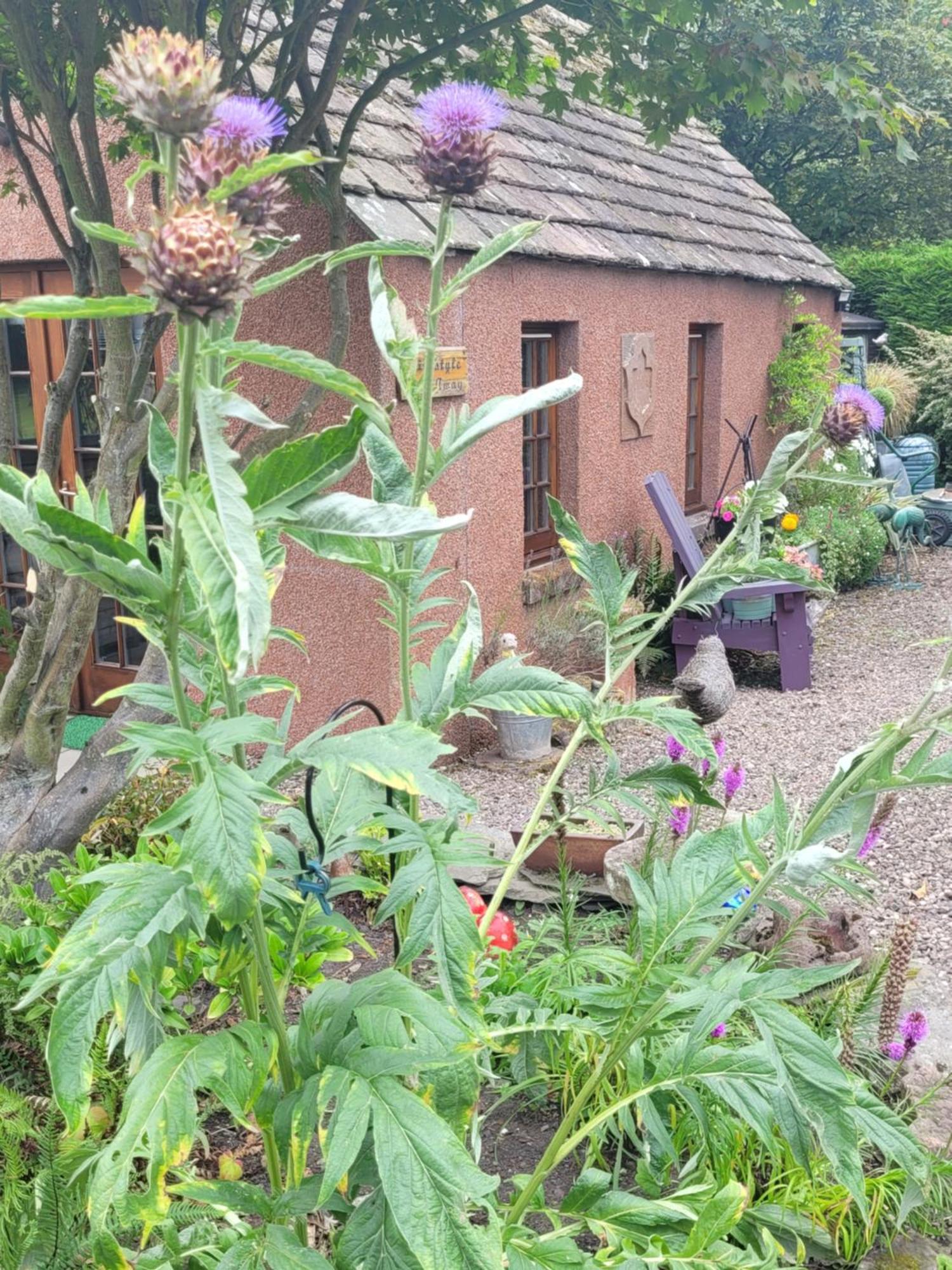 Bed and Breakfast Kirkstyle Hideaway Arbroath Esterno foto